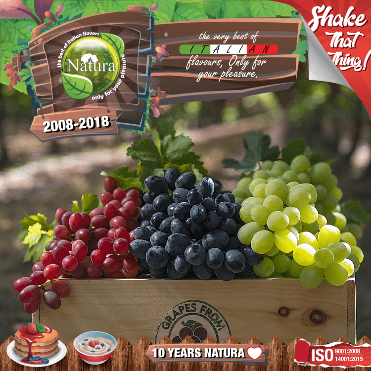MIX & SHAKE - NATURA SPECIAL 60/100ML - FOREST GRAPEZ! (ΕΚΛΕΚΤΕΣ ΠΟΙΚΙΛΙΕΣ ΣΤΑΦΥΛΙΩΝ ΑΡΜΟΝΙΚΑ ΔΕΜΕΝΕΣ) εικόνα 1