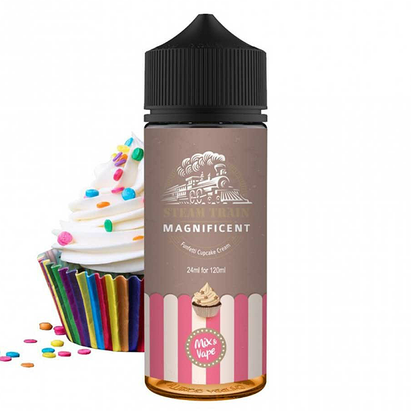 MIX & SHAKE - STEAM TRAIN 24/120ML - MAGNIFICENT - * TPD *